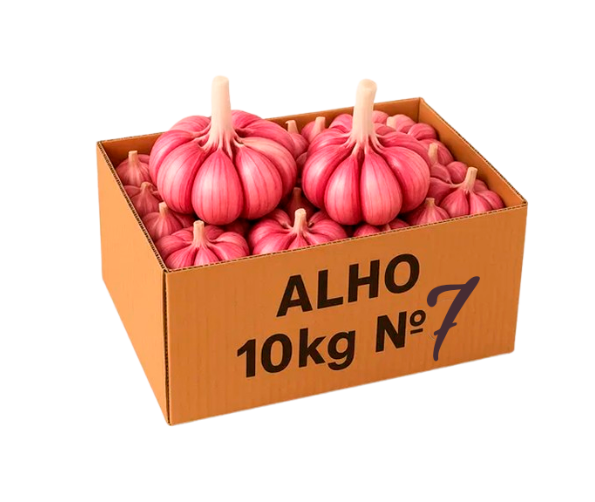 Alho - Imagem 2