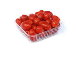Tomate Cereja